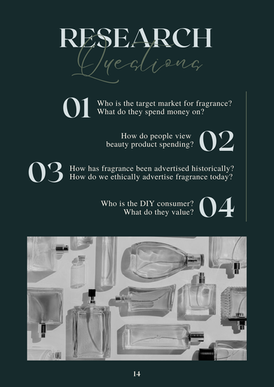 Research Questions for Campaign and Literature Review