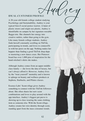 Ideal Customer Profile - Audrey
