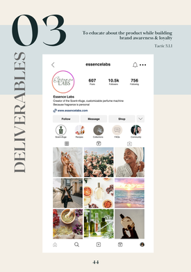 Objective 3 - Deliverable 2: Instagram Page Mockup