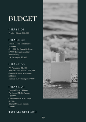 Campaign Budget
