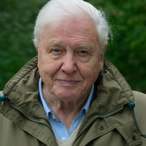 Legacy of Sir David Attenborough