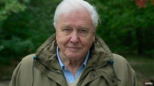 Legacy of Sir David Attenborough