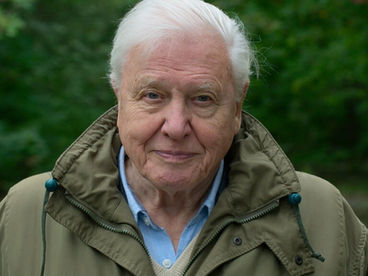 Legacy of Sir David Attenborough
