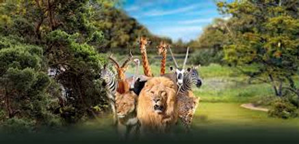 Profitez en couple ou en famille