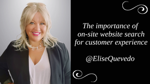 The importance of on-site website search in customer experience 