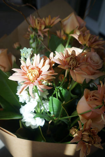 image7.jpeg