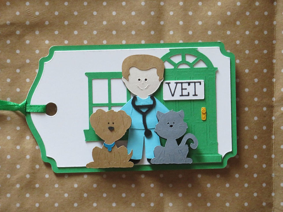 Thumbnail: Veterinarian Vet Office Dog Cat Gift Tag