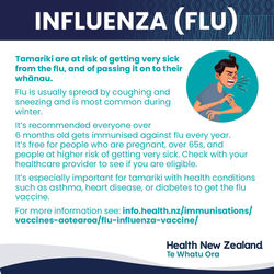 health-snippet-influenza-social-media
