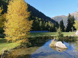 Parkanlage im Herbst