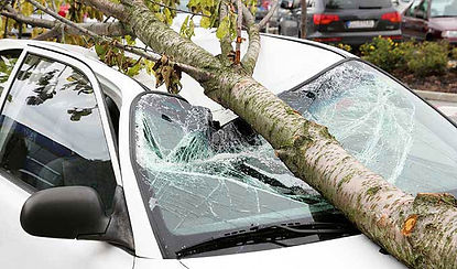 tree-fallen-on-white-car_iStock_680x402.