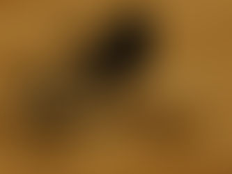 Return to the Darkness of Erentyr