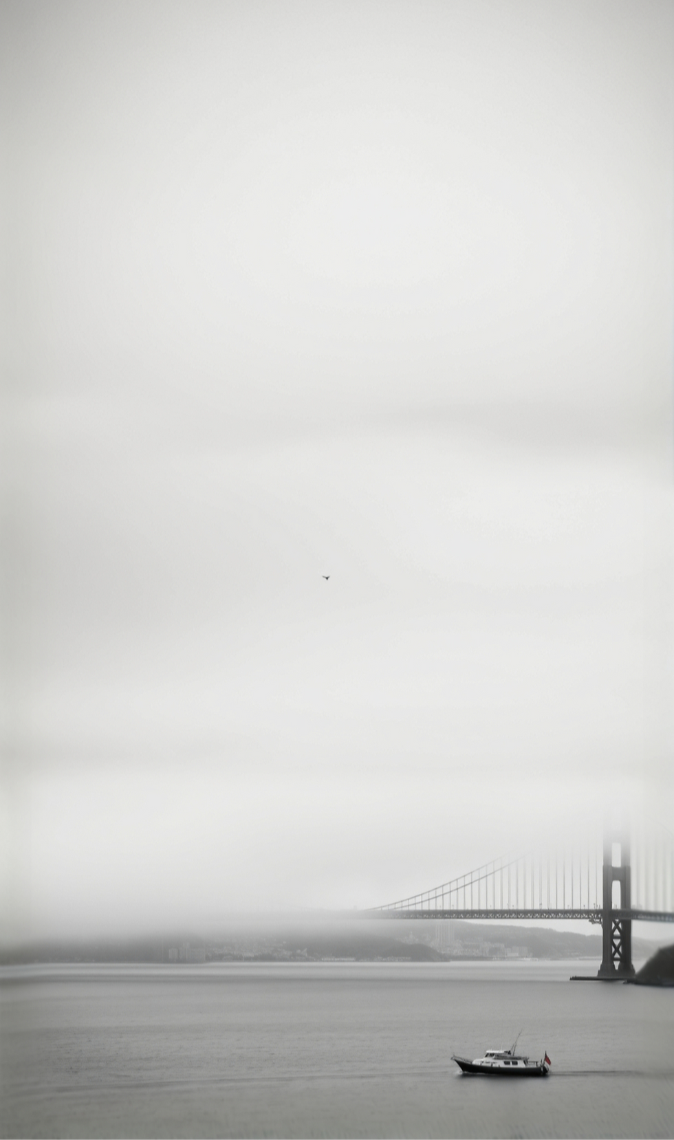 golden gate  bridge with real sanfrancisco view in the background, black and white, size 1