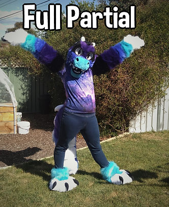 Full Partial.jpeg