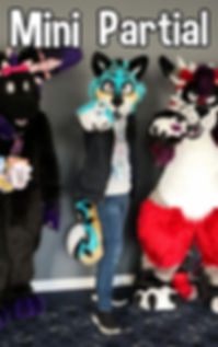 Mini Partial.jpeg