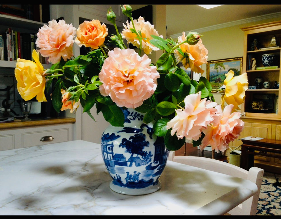 Lenore blue and roses