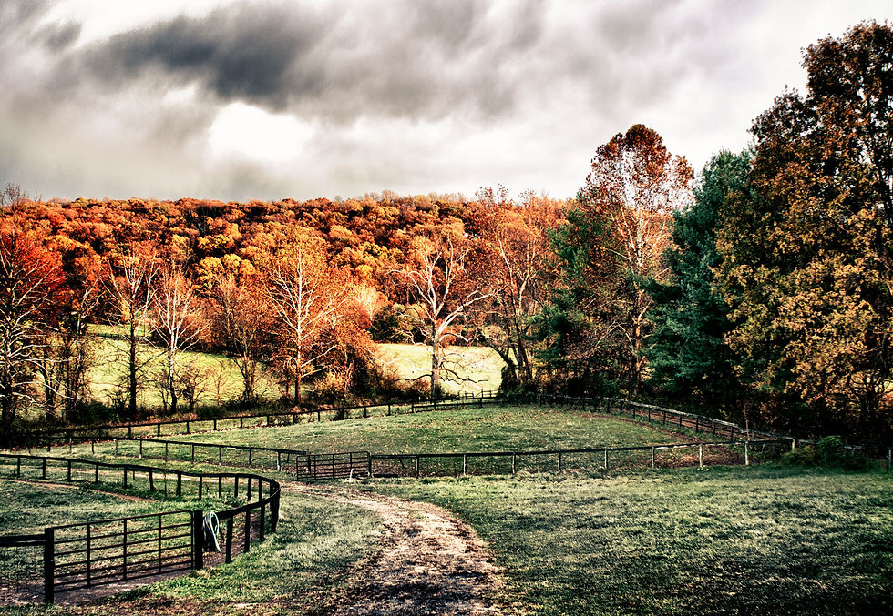autum-in-va