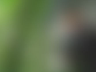 business owner person of cannabis cultivation