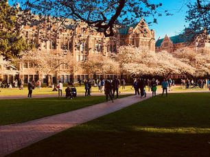 Full-Service Mattress Project at a Washington Campus