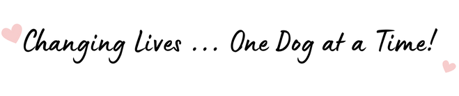 Changing Lives - Text Black w Hearts.png