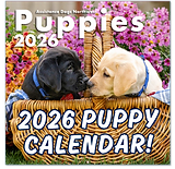 2026 ADNW Calendar BUTTON.png
