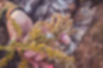 engagement photos troy mo moscow