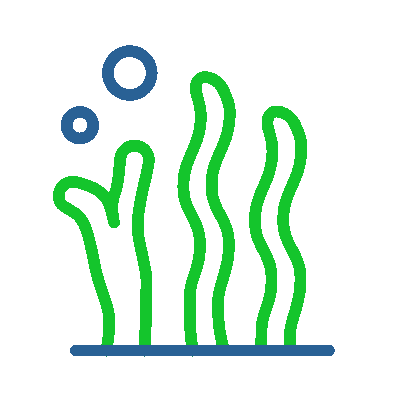 wired-outline-1841-algae.gif