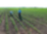 DJI_0348.jpg