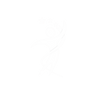 White Logo
