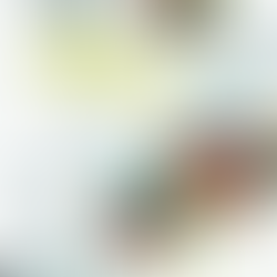 Looking Back at 2018: A Year of Growth