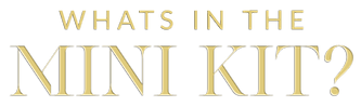 MINI KIT_edited.png