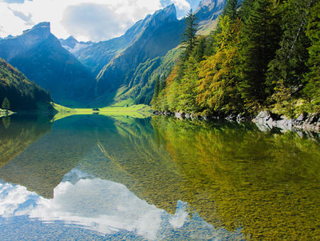THE Water Quality Monitoring Guide
