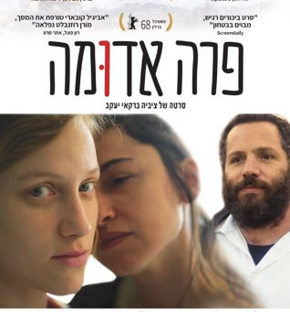 Red Cow: A Film Preview