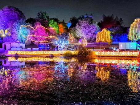 The Jerusalem Botanical Gardens: Winter Lights 2022
