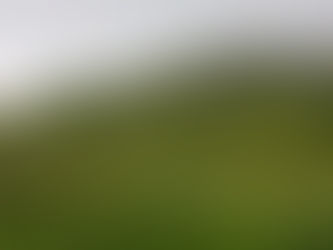 The 7th Golan Volcano Race