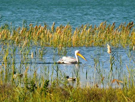 The Trail Around the Sea of Galilee