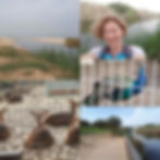 Lachish River Park, Ashdod