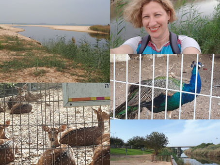 Who Knew that Ashdod was a City of Parks?