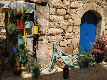 A Winter's Trip to the Beit HaKerem Valley