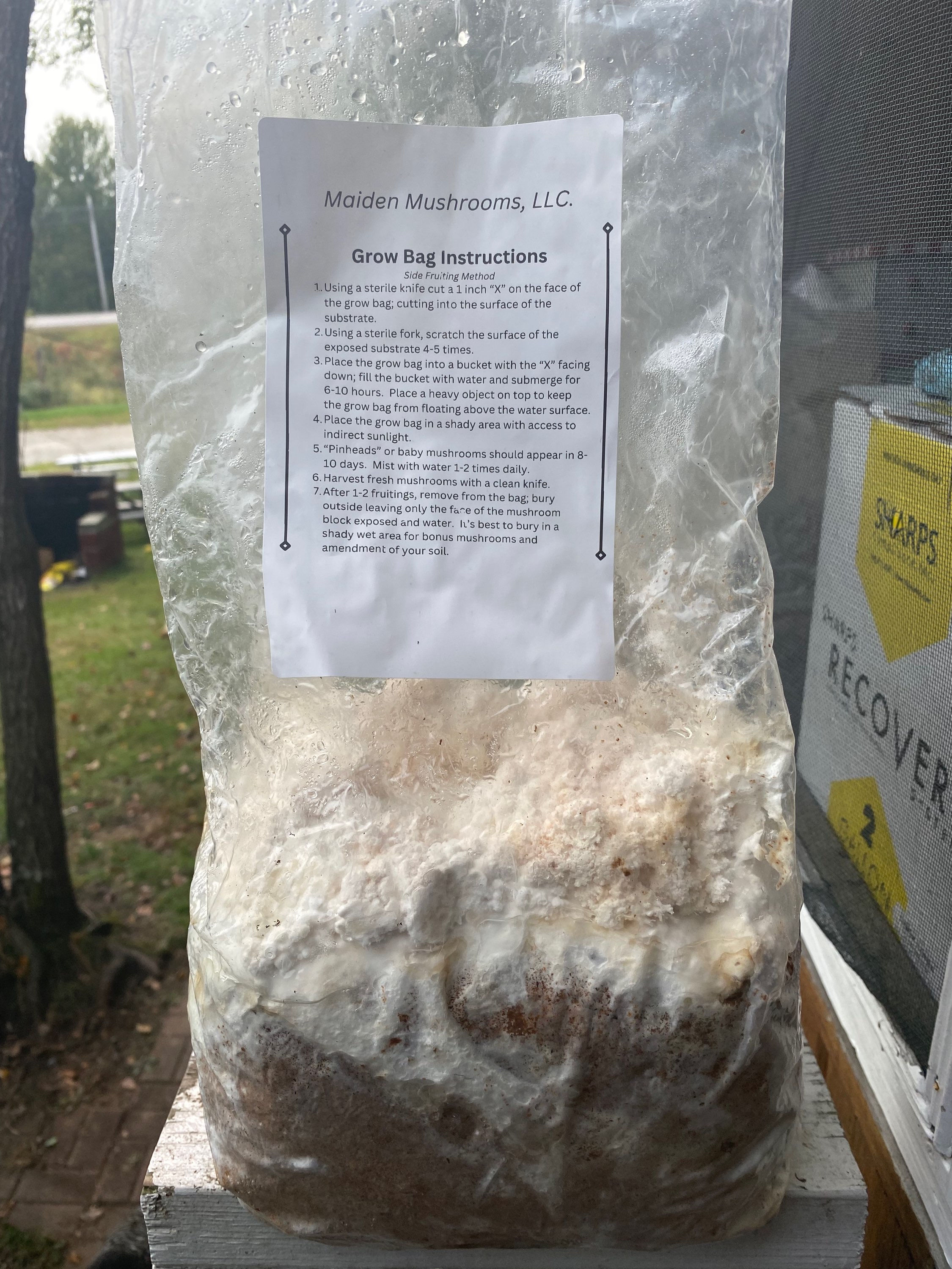 5 lbs. Mushroom Grow Kit