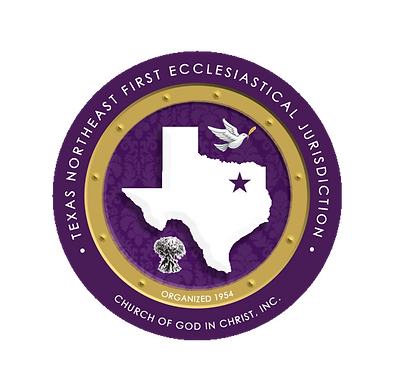 New TNE First Logo PNG.png
