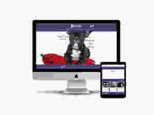 Dogz & Catz Boutique web design by AG Social Co