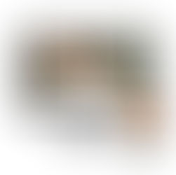 Avi Versanov Consultant