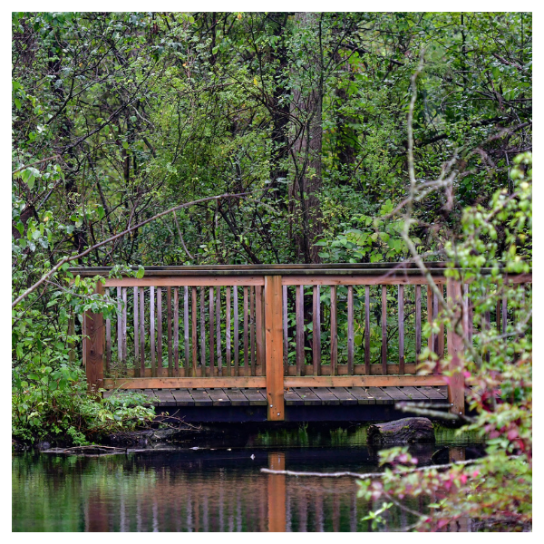 Still Crossing Landscape | Peter Alexander Images | Niagara Region