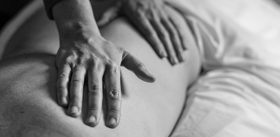Registered Massage Therapy and Facia Workshops | On Point Seminars
