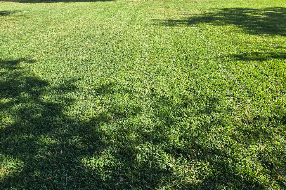 SLC_lawn_011