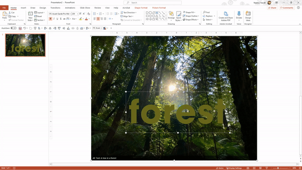 PPT Tutorial GIF.gif