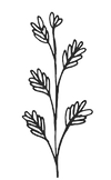 Herb Icon Black (5).png