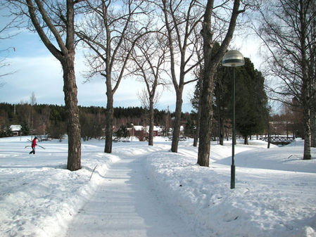 Crew Size for Sidewalk Snow Removal