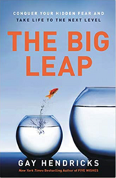 Cover of The Big Leap: Conquer Your Hidden Fear and Take Life to the Next Level