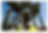 Screen Shot 2021-02-15 at 9.02.02 AM.png